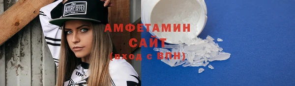 крисы Корсаков