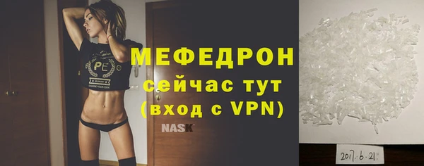 крисы Корсаков