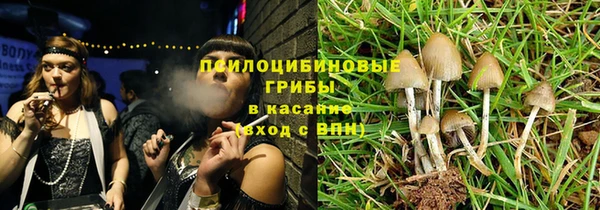 крисы Корсаков