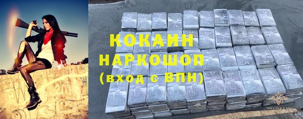 дмт Киреевск