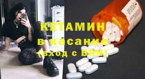 крисы Корсаков