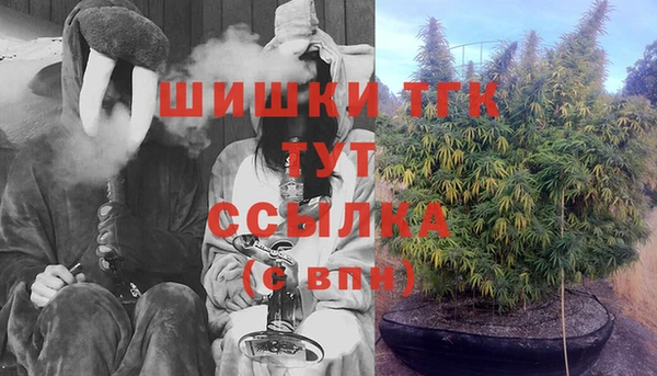 крисы Корсаков