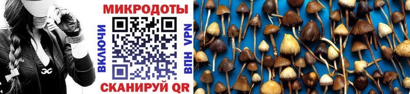Галлюциногенные грибы Cubensis  купить наркотик  Лиски 